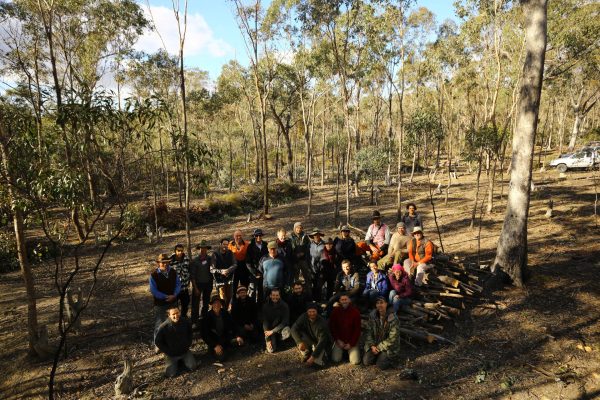Forestry Course 2015 4 Day Permaculture Forestry Course with David Holmgren & Darren Doherty